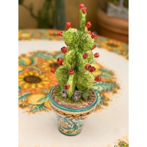 Pianta Fico d'india Vaso Verde cm.35